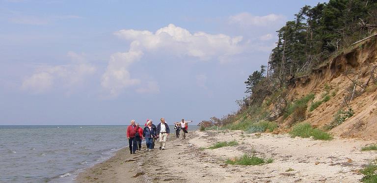 En gruppe mennesker på tur går i vandkanten neden for Enehøjes imponerende vestskrænt